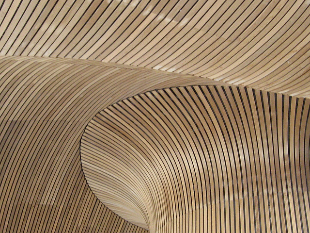 senedd-ceiling - Literature Wales